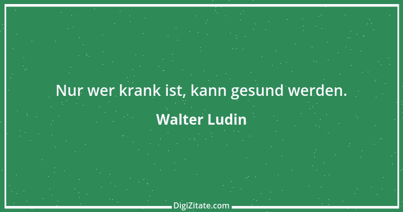 Zitat von Walter Ludin 229