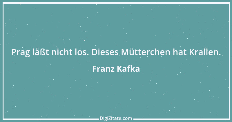 Zitat von Franz Kafka 91