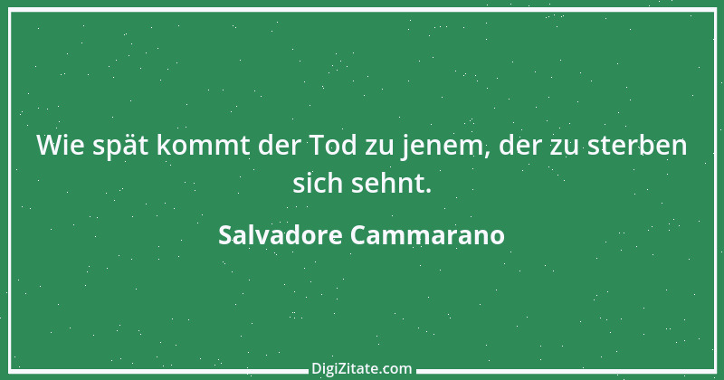 Zitat von Salvadore Cammarano 1