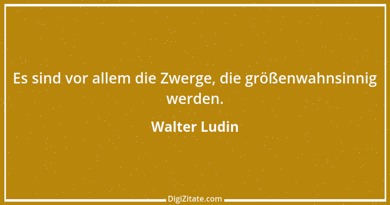 Zitat von Walter Ludin 1328