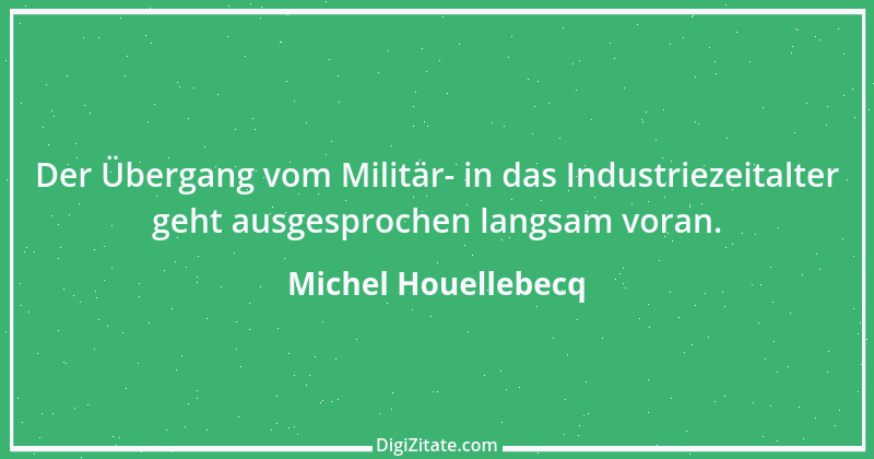 Zitat von Michel Houellebecq 12