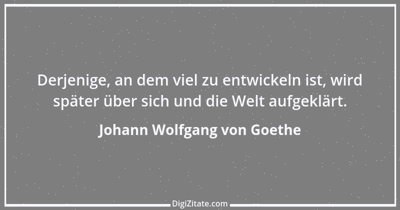 Zitat von Johann Wolfgang von Goethe 828