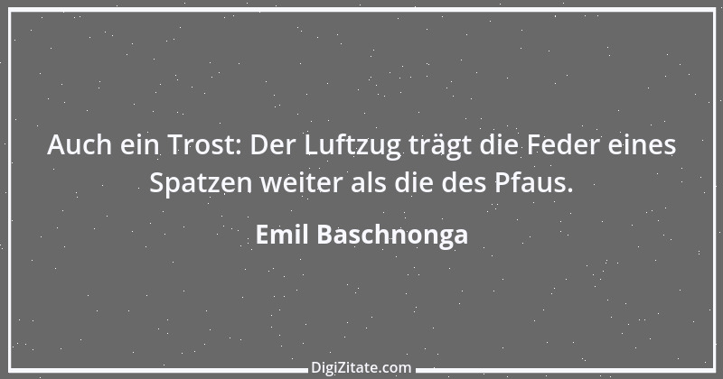 Zitat von Emil Baschnonga 225