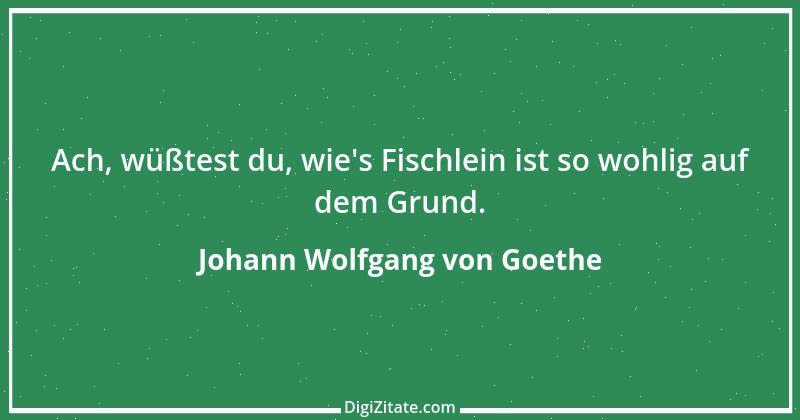 Zitat von Johann Wolfgang von Goethe 829