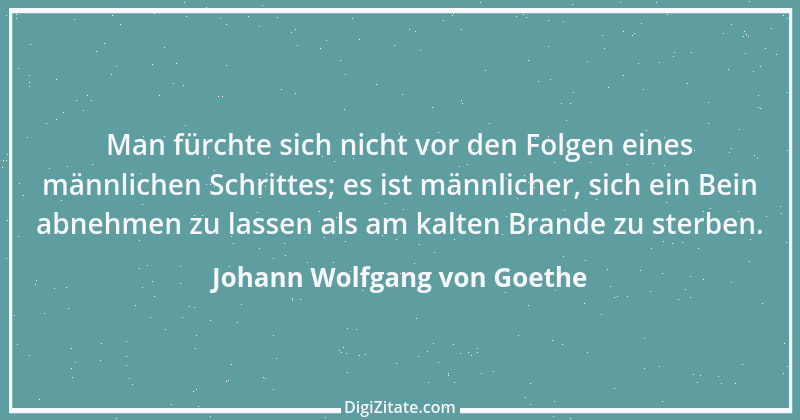 Zitat von Johann Wolfgang von Goethe 3830