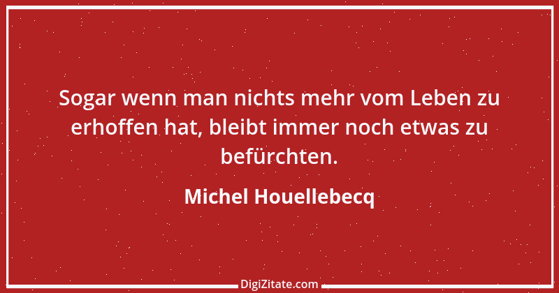 Zitat von Michel Houellebecq 15