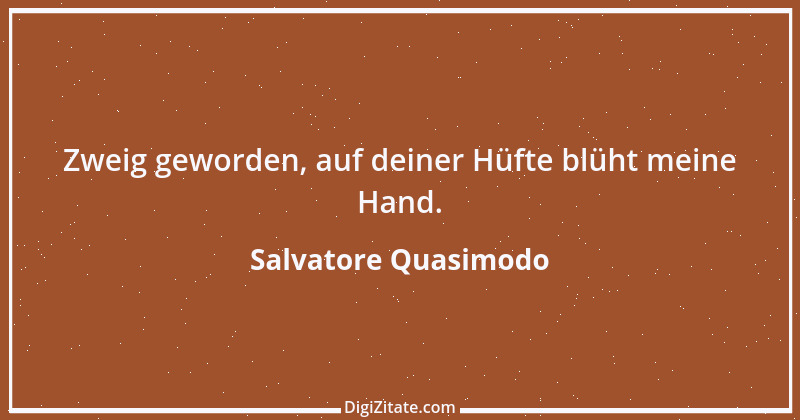 Zitat von Salvatore Quasimodo 4