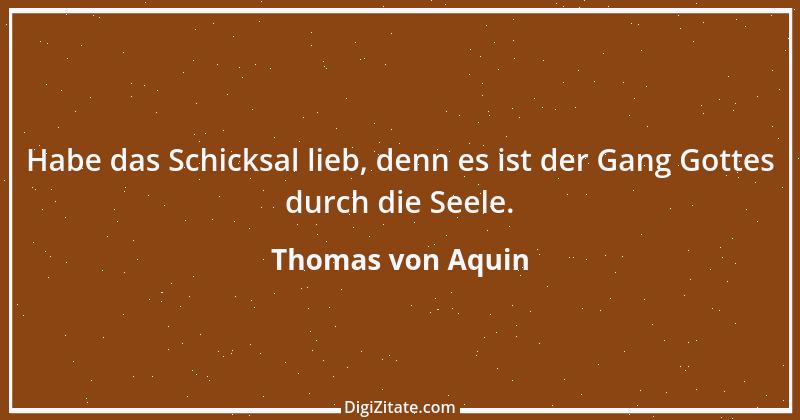 Zitat von Thomas von Aquin 135