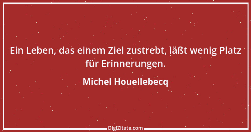 Zitat von Michel Houellebecq 16