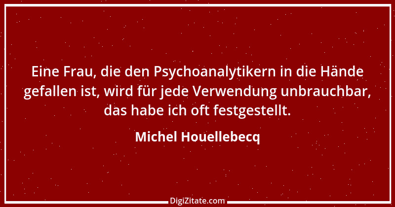 Zitat von Michel Houellebecq 17