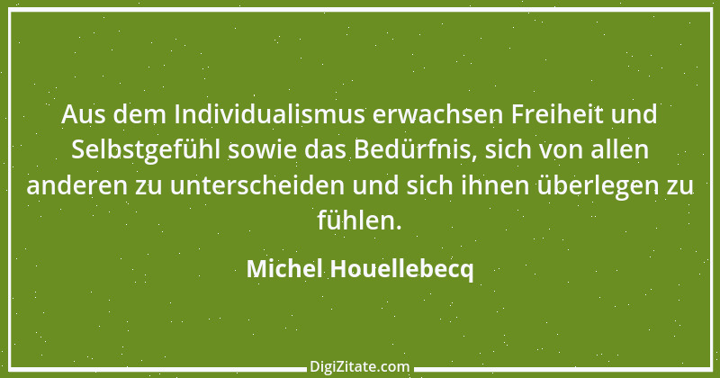 Zitat von Michel Houellebecq 18