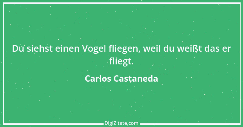 Zitat von Carlos Castaneda 1