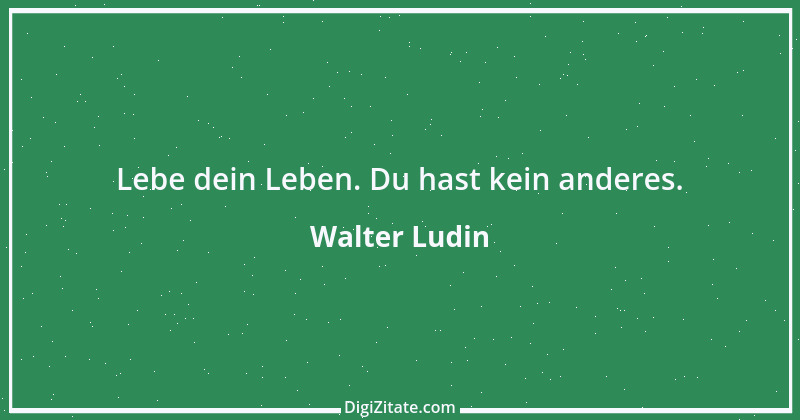 Zitat von Walter Ludin 337