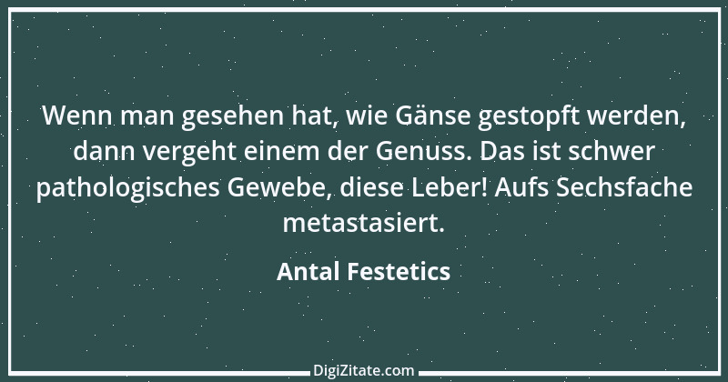 Zitat von Antal Festetics 1