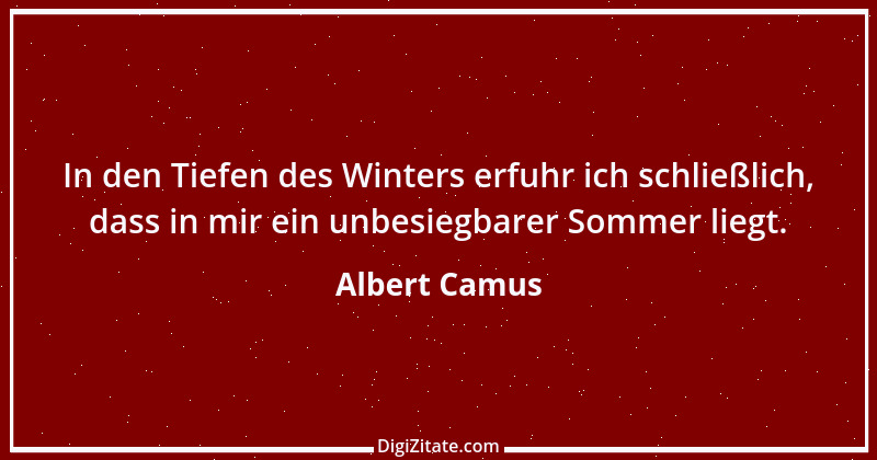 Zitat von Albert Camus 28