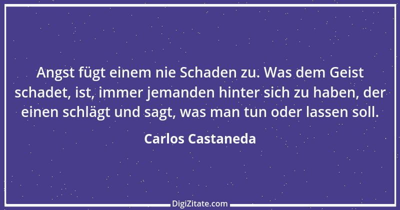 Zitat von Carlos Castaneda 3