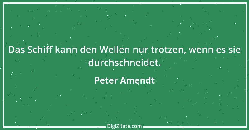 Zitat von Peter Amendt 163