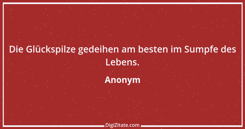 Zitat von Anonym 5806