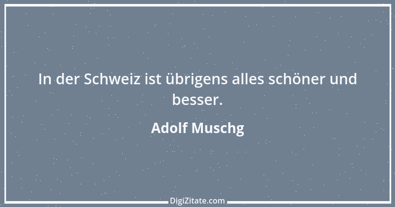 Zitat von Adolf Muschg 2