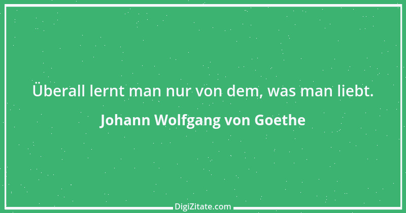 Zitat von Johann Wolfgang von Goethe 2840