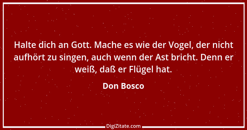 Zitat von Don Bosco 23