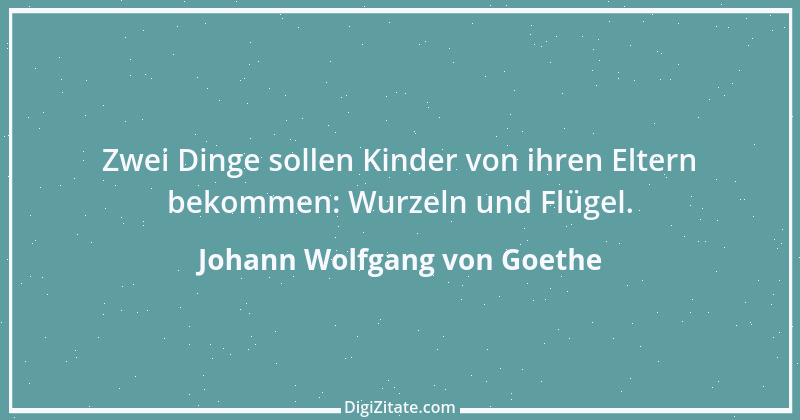 Zitat von Johann Wolfgang von Goethe 1841