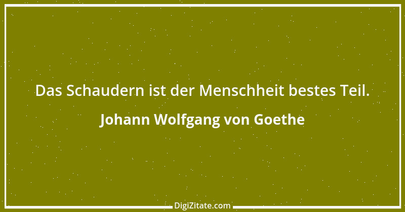 Zitat von Johann Wolfgang von Goethe 842