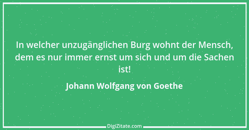 Zitat von Johann Wolfgang von Goethe 3843