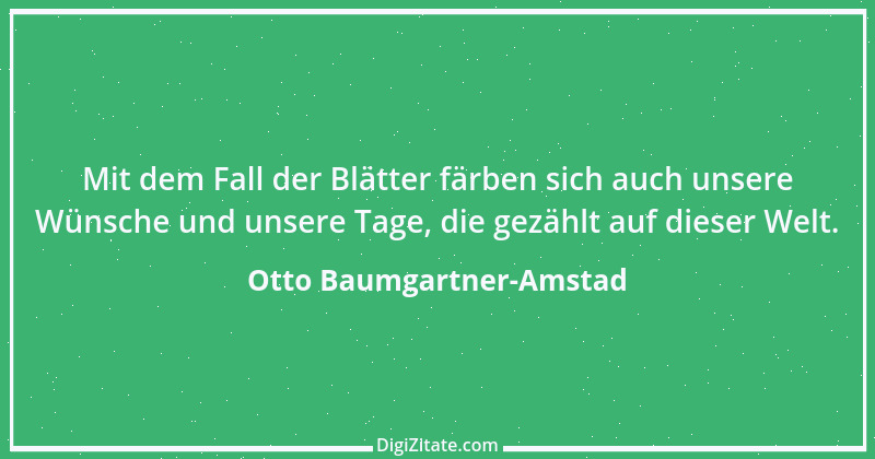 Zitat von Otto Baumgartner-Amstad 128