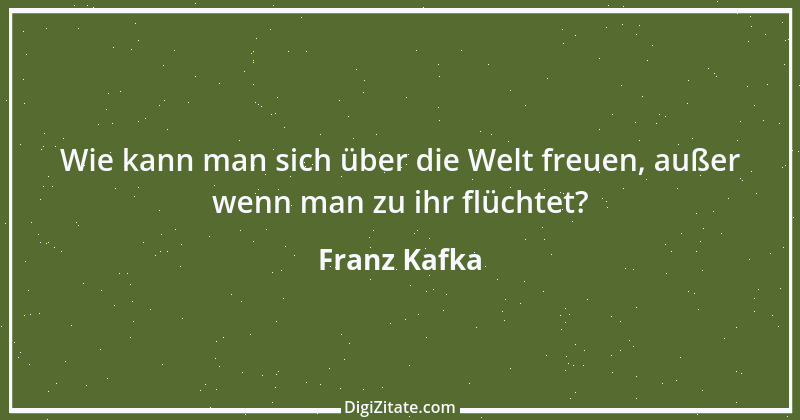 Zitat von Franz Kafka 93