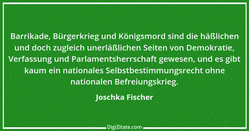 Zitat von Joschka Fischer 29