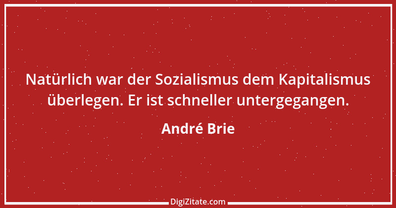 Zitat von André Brie 127