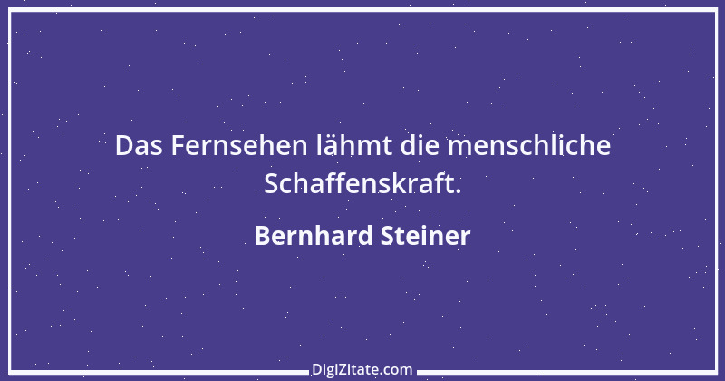 Zitat von Bernhard Steiner 41