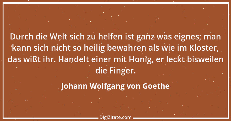 Zitat von Johann Wolfgang von Goethe 1847