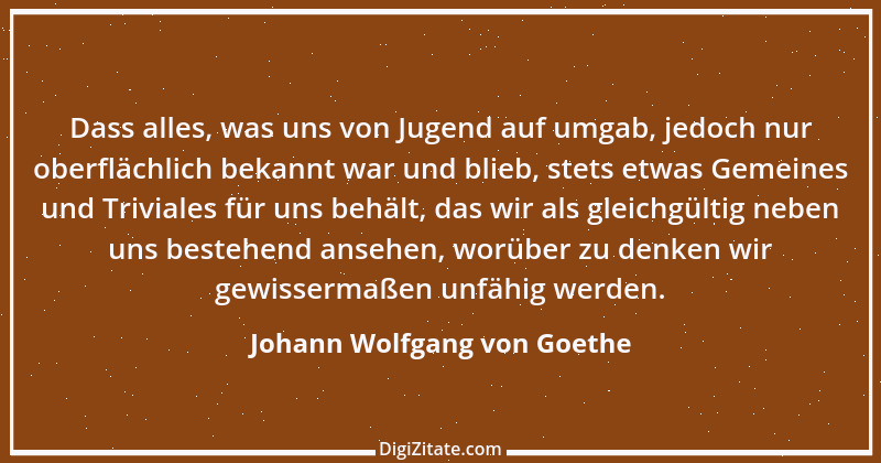 Zitat von Johann Wolfgang von Goethe 2847