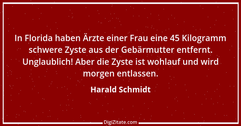 Zitat von Harald Schmidt 167