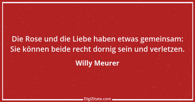 Zitat von Willy Meurer 1151