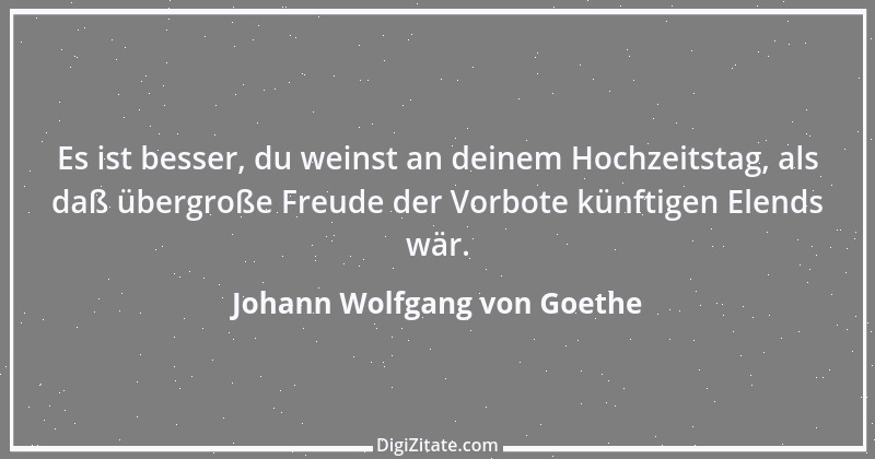 Zitat von Johann Wolfgang von Goethe 853