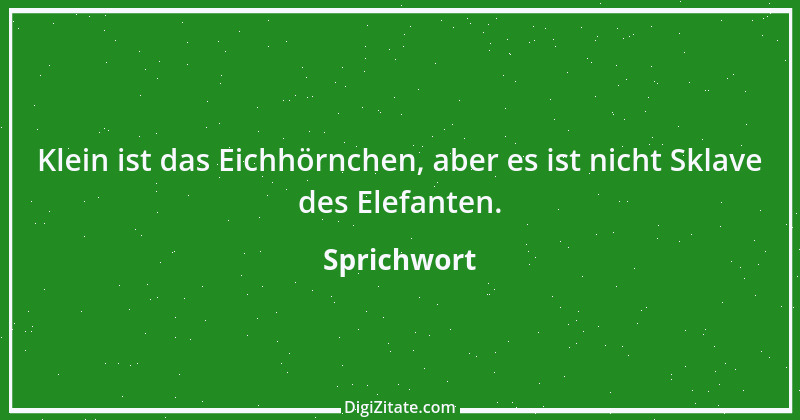 Zitat von Sprichwort 6845