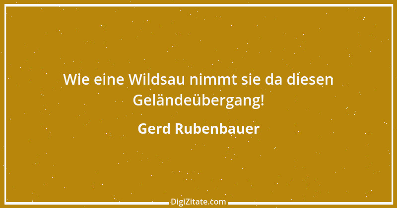 Zitat von Gerd Rubenbauer 12