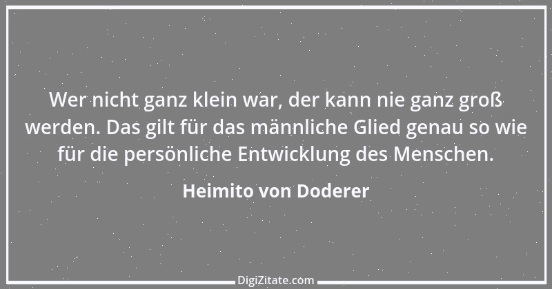 Zitat von Heimito von Doderer 24