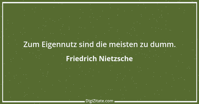 Zitat von Friedrich Nietzsche 1676