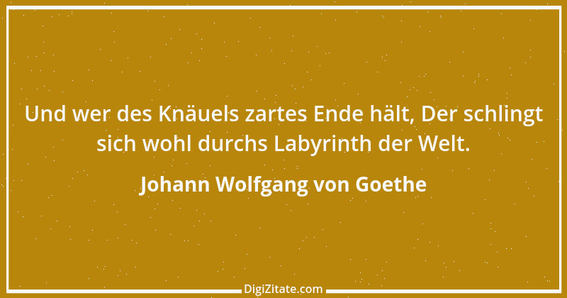 Zitat von Johann Wolfgang von Goethe 856