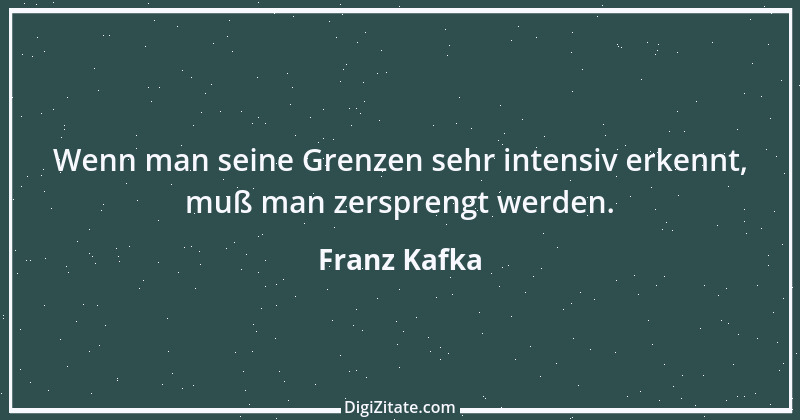 Zitat von Franz Kafka 212