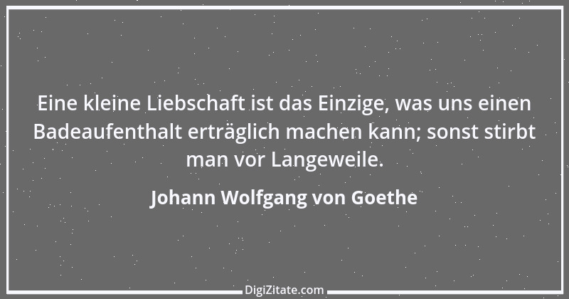 Zitat von Johann Wolfgang von Goethe 857