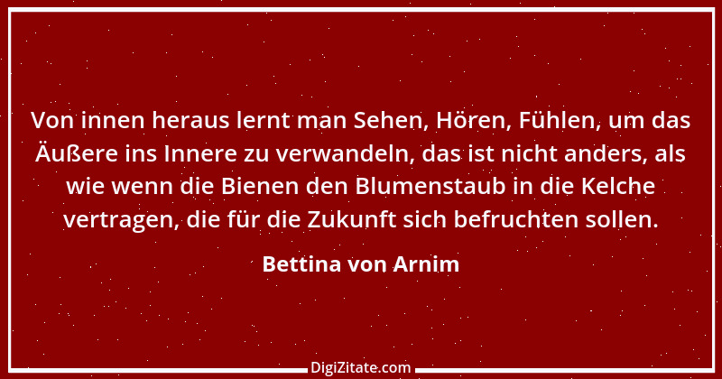 Zitat von Bettina von Arnim 113