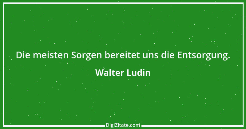 Zitat von Walter Ludin 361