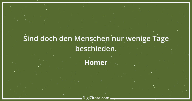 Zitat von Homer 76