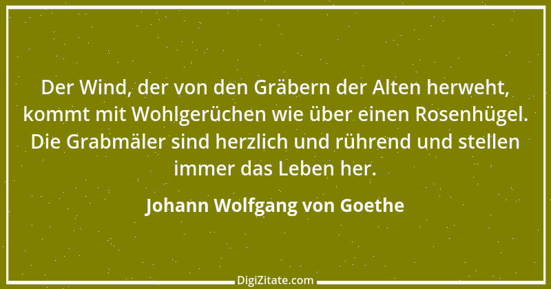 Zitat von Johann Wolfgang von Goethe 3860