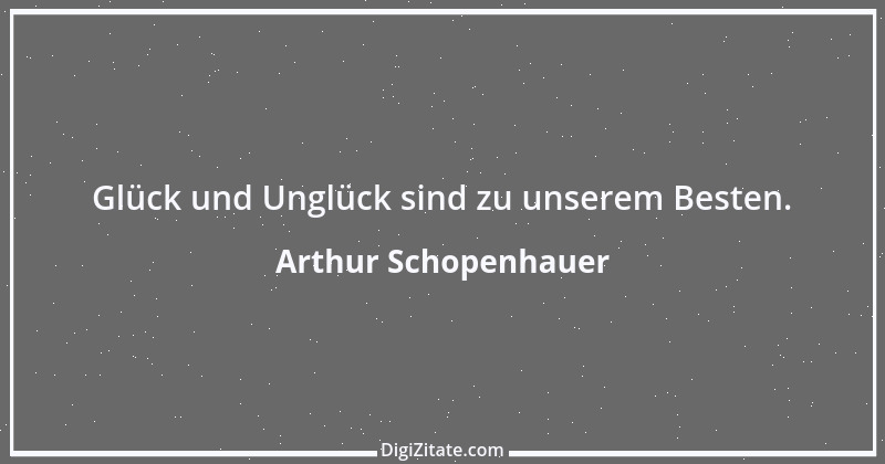 Zitat von Arthur Schopenhauer 728